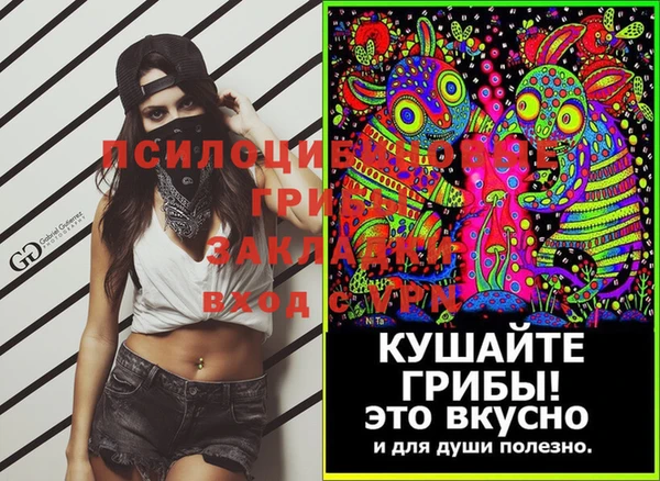 МДПВ Вязьма
