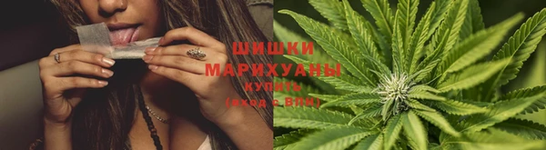 дживик Вяземский