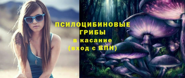 МДПВ Вязьма